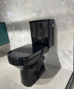 BLOC WC Odyssée Yvelines Noir